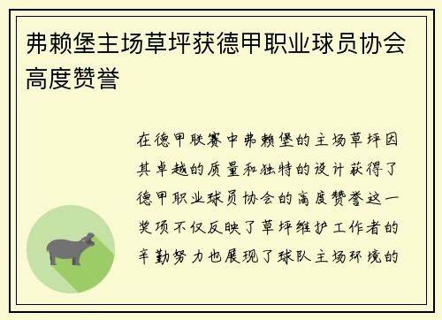 弗赖堡主场草坪获德甲职业球员协会高度赞誉
